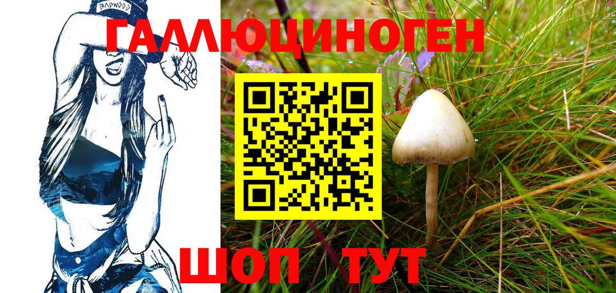 Галлюциногенные грибы Psilocybe  Вход с VPN  Псилоцибиновые грибы Cubensis  Обнинск 