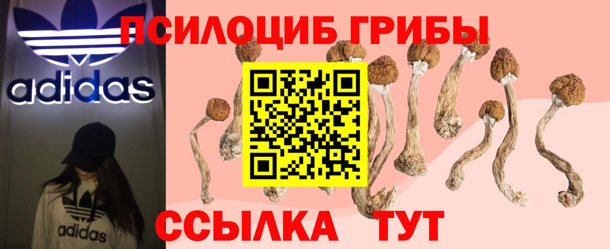 Псилоцибиновые грибы MAGIC MUSHROOMS Обнинск